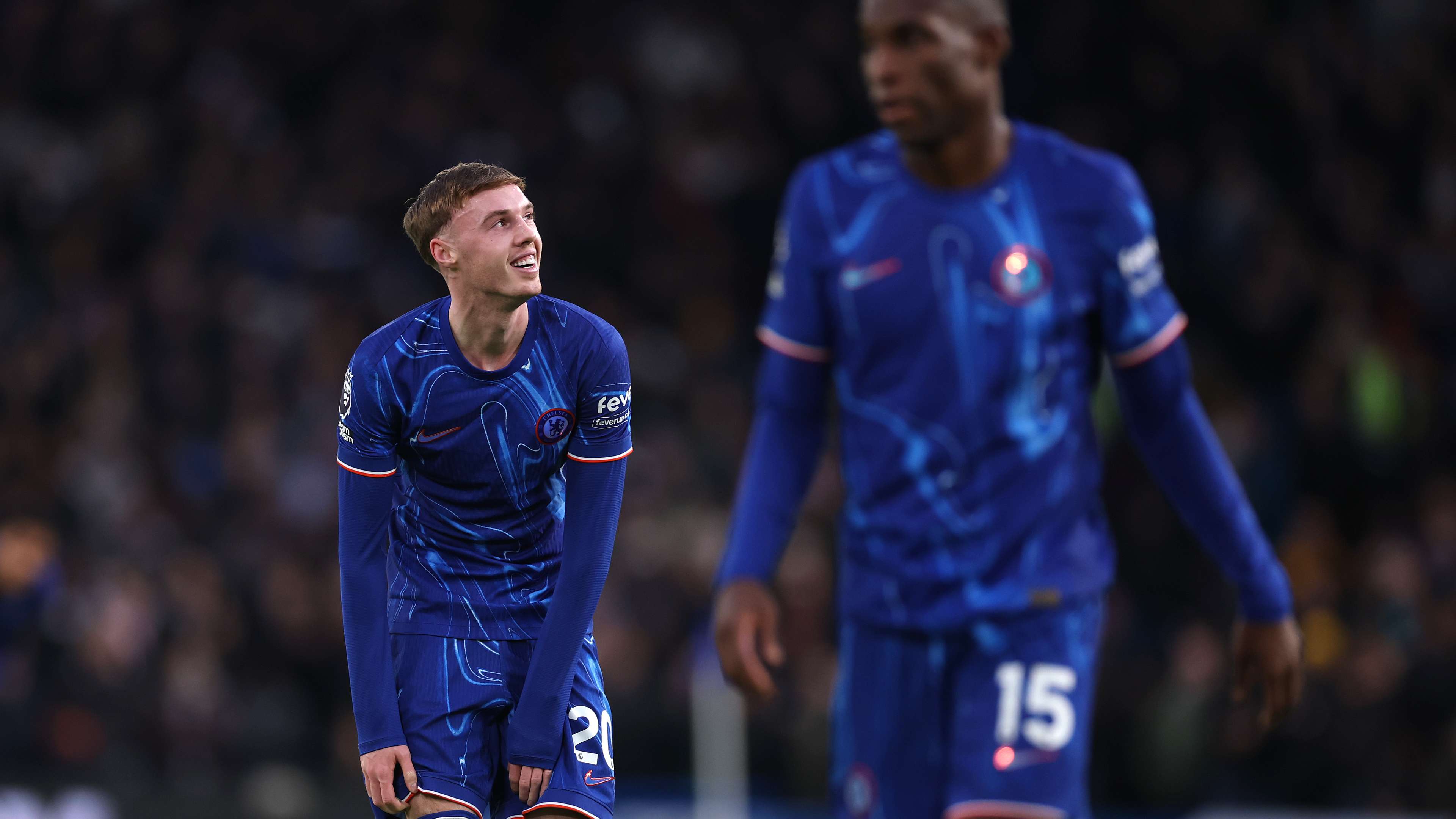 位于九龙的 位于九龙的