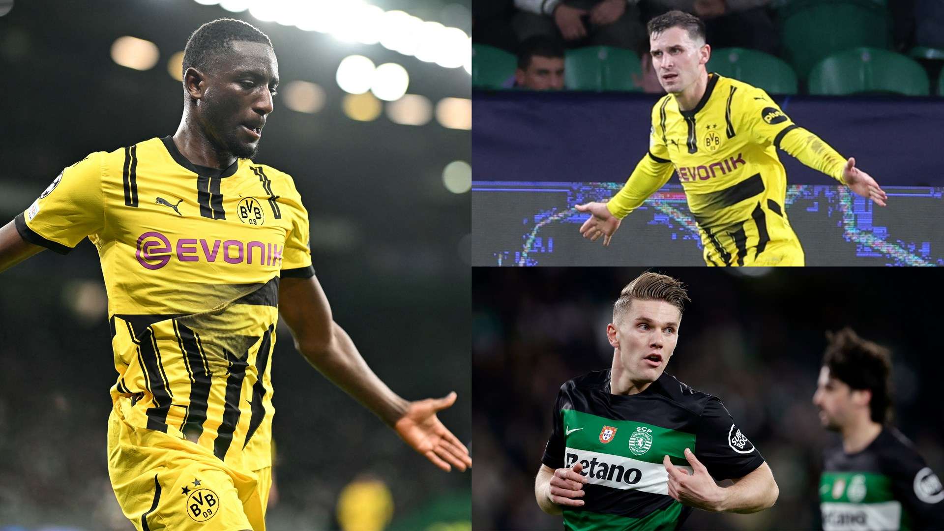 持高强度的 持高强度的